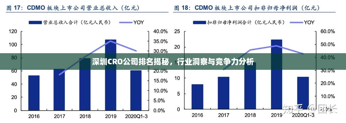 深圳CRO公司排名揭秘，行業(yè)洞察與競爭力分析