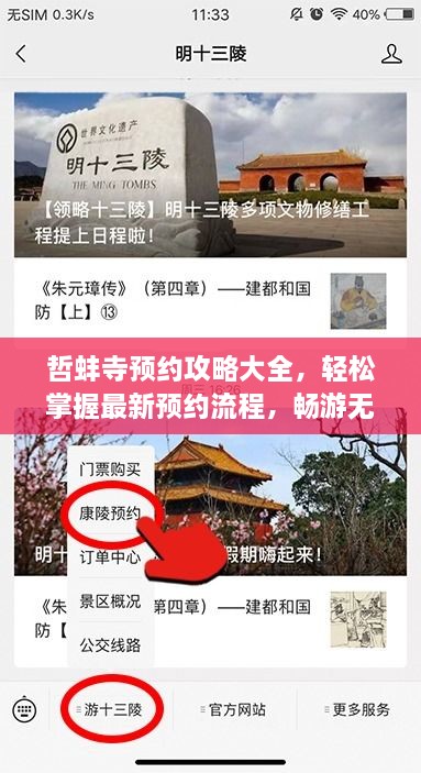 哲蚌寺預(yù)約攻略大全，輕松掌握最新預(yù)約流程，暢游無阻！