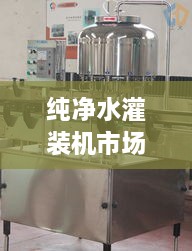 純凈水灌裝機市場走勢解析，最新行情深度探討