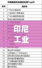 印尼工業(yè)材料TOP10排行榜，揭秘最受歡迎的十大材料