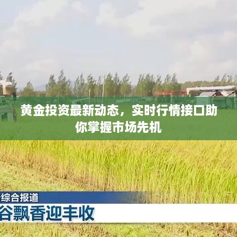 黃金投資最新動態(tài)，實時行情接口助你掌握市場先機