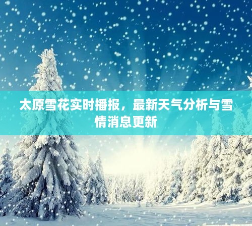 太原雪花實時播報，最新天氣分析與雪情消息更新