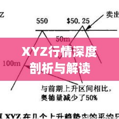 XYZ行情深度剖析與解讀