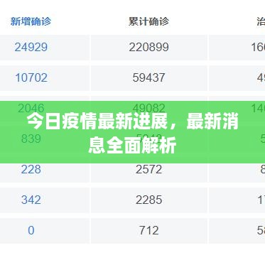 今日疫情最新進(jìn)展，最新消息全面解析