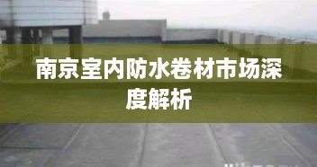 南京室內防水卷材市場深度解析