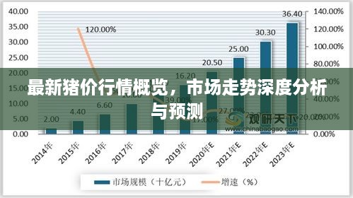 最新豬價行情概覽，市場走勢深度分析與預測