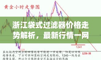 浙江袋式過(guò)濾器價(jià)格走勢(shì)解析，最新行情一網(wǎng)打盡！