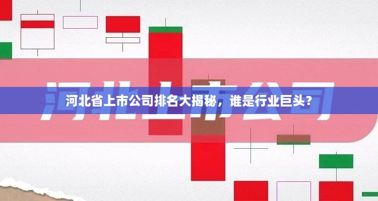 河北省上市公司排名大揭秘，誰是行業(yè)巨頭？