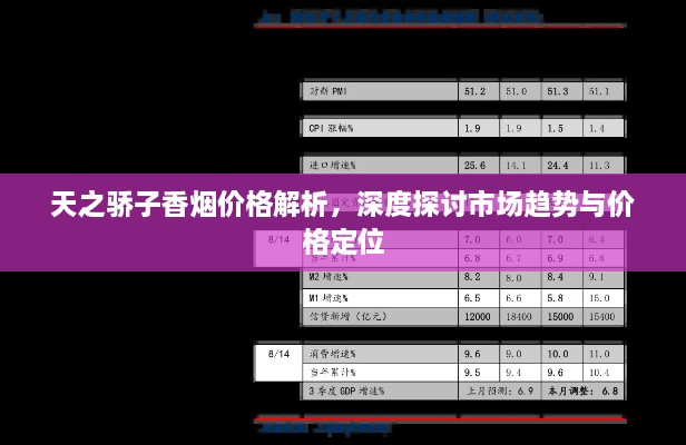 天之驕子香煙價(jià)格解析，深度探討市場(chǎng)趨勢(shì)與價(jià)格定位