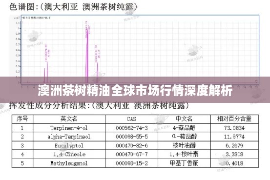 澳洲茶樹精油全球市場(chǎng)行情深度解析