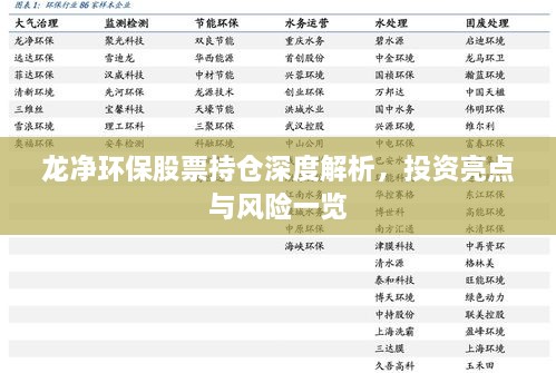 龍凈環(huán)保股票持倉深度解析，投資亮點與風險一覽