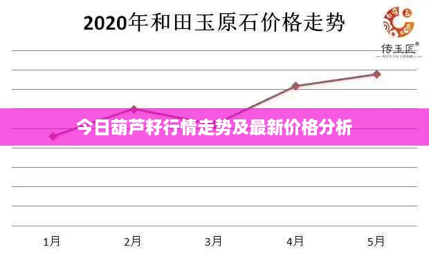 今日葫蘆籽行情走勢及最新價格分析