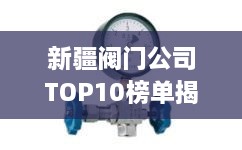 新疆閥門公司TOP10榜單揭曉，行業(yè)領(lǐng)軍者一覽無余