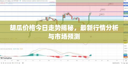 胡瓜價格今日走勢揭秘，最新行情分析與市場預(yù)測