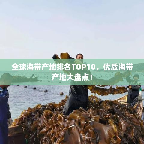 全球海帶產(chǎn)地排名TOP10，優(yōu)質(zhì)海帶產(chǎn)地大盤點(diǎn)！