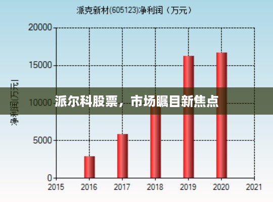 派爾科股票，市場矚目新焦點