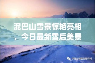 泥巴山雪景驚艷亮相，今日最新雪后美景報道！