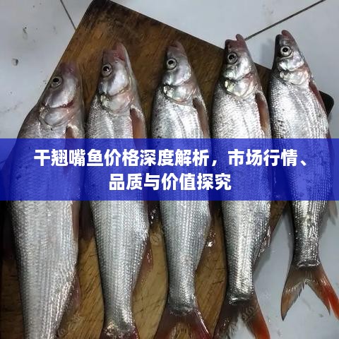 干翹嘴魚價(jià)格深度解析，市場行情、品質(zhì)與價(jià)值探究