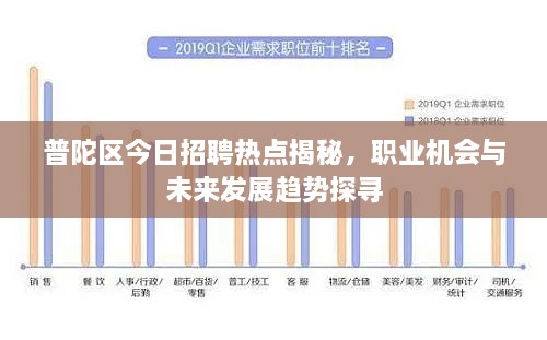 普陀區(qū)今日招聘熱點(diǎn)揭秘，職業(yè)機(jī)會(huì)與未來發(fā)展趨勢(shì)探尋