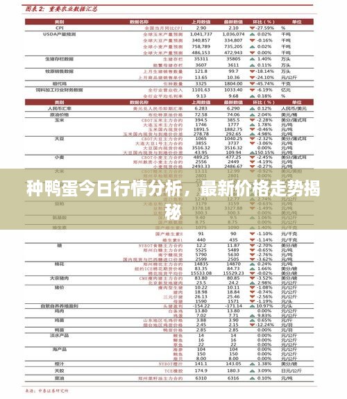 種鴨蛋今日行情分析，最新價格走勢揭秘