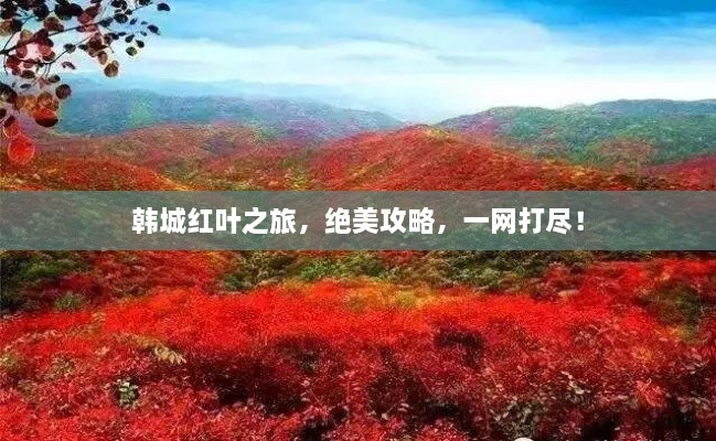 韓城紅葉之旅，絕美攻略，一網(wǎng)打盡！