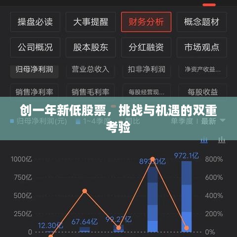 創(chuàng)一年新低股票，挑戰(zhàn)與機遇的雙重考驗