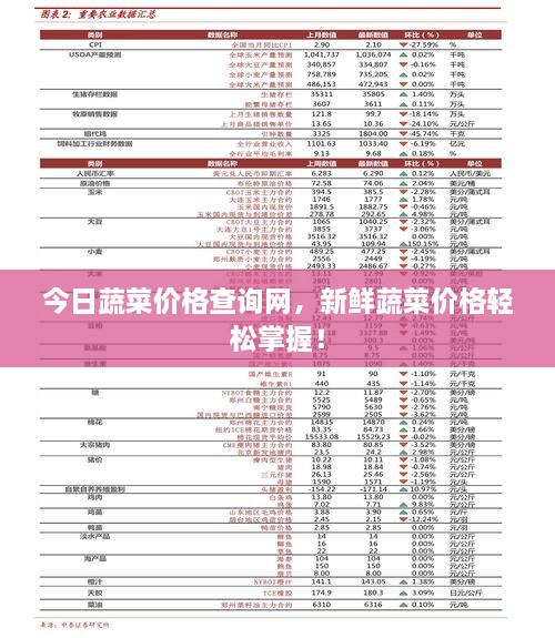 今日蔬菜價(jià)格查詢網(wǎng)，新鮮蔬菜價(jià)格輕松掌握！