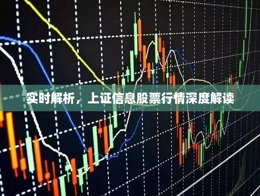 實時解析，上證信息股票行情深度解讀