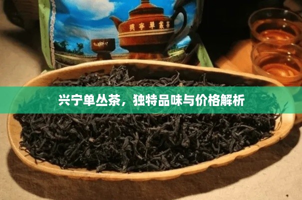 興寧單叢茶，獨(dú)特品味與價(jià)格解析