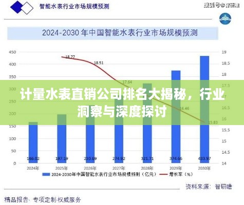 計(jì)量水表直銷公司排名大揭秘，行業(yè)洞察與深度探討