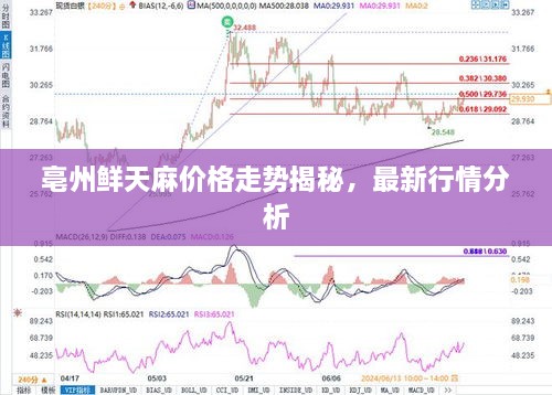 亳州鮮天麻價(jià)格走勢揭秘，最新行情分析