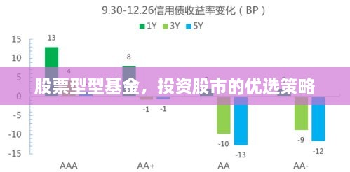 股票型型基金，投資股市的優(yōu)選策略