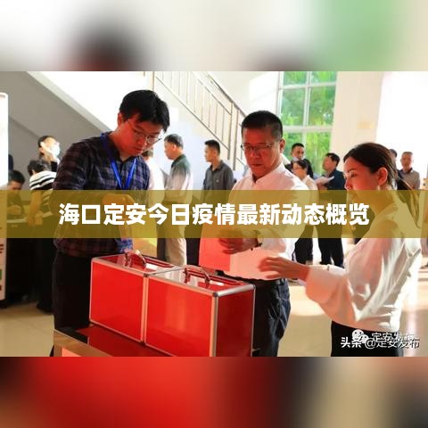 ?？诙ò步袢找咔樽钚聞討B(tài)概覽