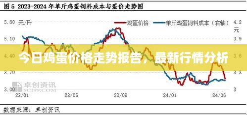 今日雞蛋價(jià)格走勢(shì)報(bào)告，最新行情分析