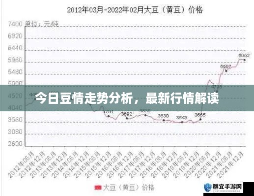 今日豆情走勢分析，最新行情解讀