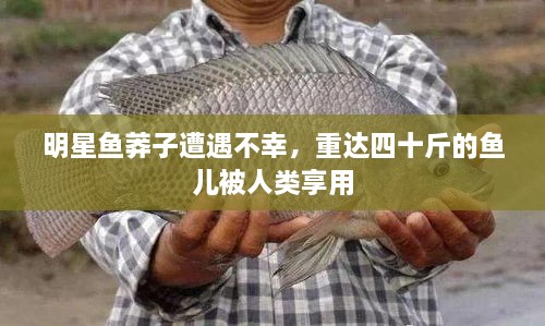 明星魚莽子遭遇不幸，重達四十斤的魚兒被人類享用