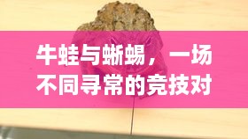 牛蛙與蜥蜴，一場不同尋常的競技對決