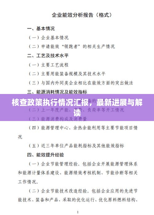 核查政策執(zhí)行情況匯報(bào)，最新進(jìn)展與解讀