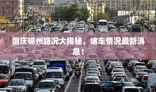 國慶郴州路況大揭秘，堵車情況最新消息！