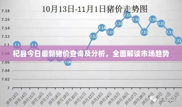 杞縣今日最新豬價(jià)查詢及分析，全面解讀市場(chǎng)趨勢(shì)