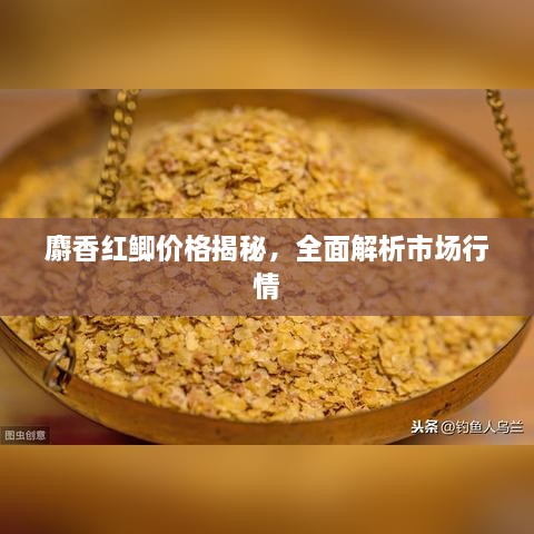 麝香紅鯽價(jià)格揭秘，全面解析市場行情