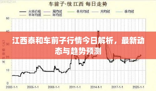 江西泰和車(chē)前子行情今日解析，最新動(dòng)態(tài)與趨勢(shì)預(yù)測(cè)