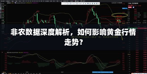 非農(nóng)數(shù)據(jù)深度解析，如何影響黃金行情走勢(shì)？