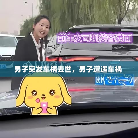 男子突發(fā)車禍去世，男子遭遇車禍 