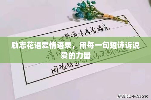 勵志花語愛情語錄，用每一句短詩訴說愛的力量