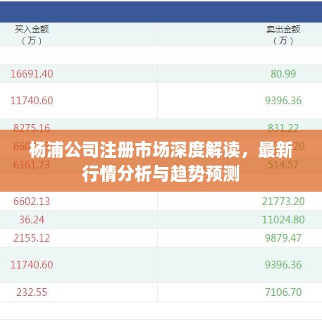 楊浦公司注冊市場深度解讀，最新行情分析與趨勢預(yù)測