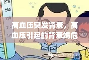 高血壓突發(fā)腎衰，高血壓引起的腎衰竭危險(xiǎn)嗎? 