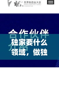 獨家要什么領域，做獨家代理有什么要求 